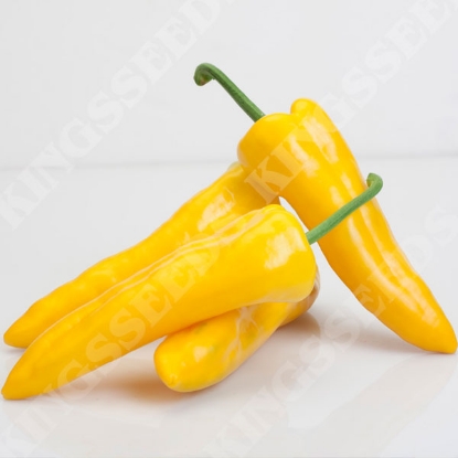 Picture of Capsicum (Sweet) Agus F1